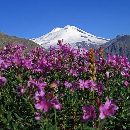 Кавказ и Краснодарский край