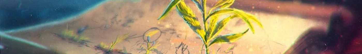 5e427fcf-03e3-4964-bcf4-7377b035fdc6-основная твой личный хогварц.jpg