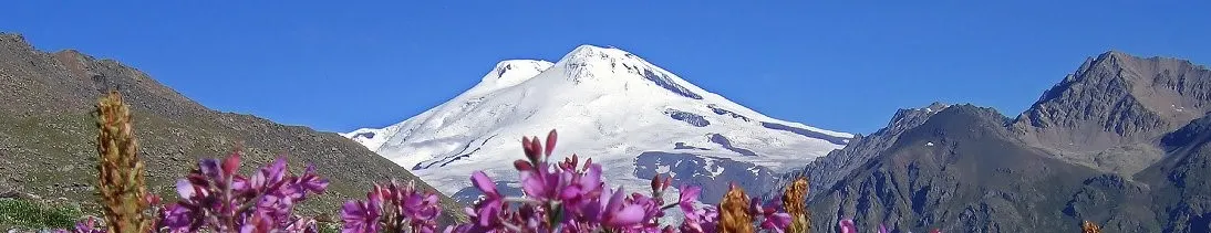 29633d59-cd0f-4204-b16a-19436f120198-основное кавказ и краснодарский край.jpg