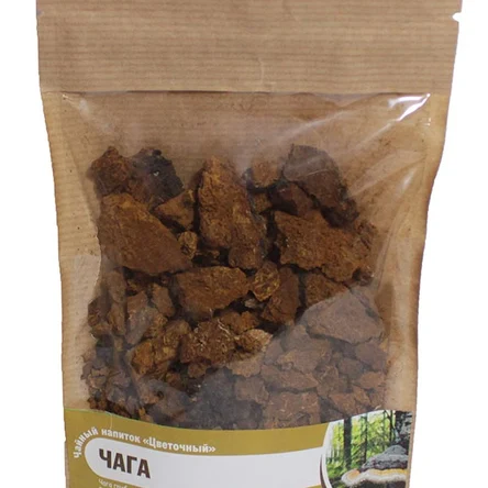 Чага гриб
